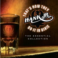 Stirrin' It Up - Hank Williams Jr.