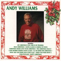 The Christmas Waltz - Andy Williams