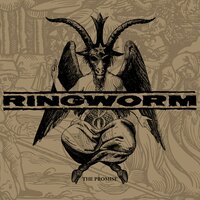 Consumed - 13 Knots - Ringworm