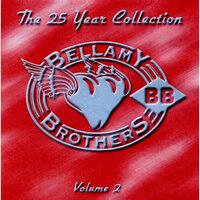 Some Broken Hearts - The Bellamy Brothers