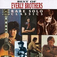 Never Like This - The Everly Brothers