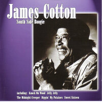 Don't Start Me Talkin' - James Cotton