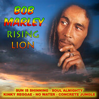 Kinky Reggae - Bob Marley