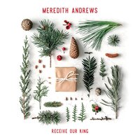 Hark! The Herald Angels Sing - Meredith Andrews