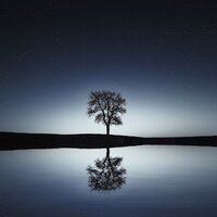 Harmonease - Nature Sounds for Sleep and Relaxation, Meditation Zen Master, Rain Sounds