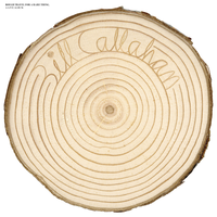 Bathysphere - Bill Callahan
