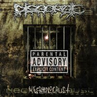 Ravenous Funeral Carnage - Disgorge