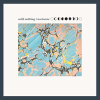The Blue Dress - Wild Nothing