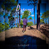 Dreams - Lucid