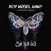 1984 - New Model Army