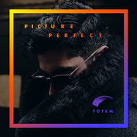 Picture Perfect - Totem
