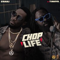 Chop Life - D'Banj, Timaya