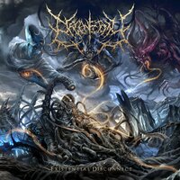 No Solace In Ascendance - Organectomy