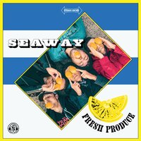 Pleasures - Seaway