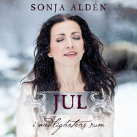 Den första julen - Sonja Alden