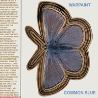 Common Blue - Warpaint