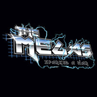 You've Sparked a Coustic - The Megas