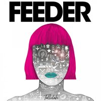 Shapes and Sounds - Feeder