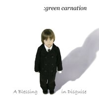 Lullaby in Winter - Green Carnation