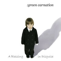 Rain - Green Carnation