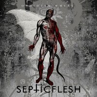 The Future Belongs to the Brave - Septicflesh