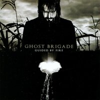 Disgusted By the Light - Ghost Brigade