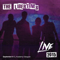Good Old Days - The Libertines