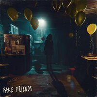 Fake Friends - AViVA