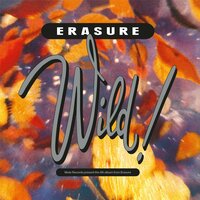Brother and Sister - Erasure