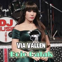 Bojo Galak - VIA VALLEN
