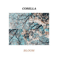 Bloom - Corella