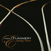 Take It on the Chin - Mick Flannery