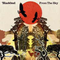Days Passing Away - Blackbud
