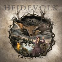 In the Dutch Mountains [The Nits Cover] - Heidevolk