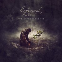 No Will - Ephemeral Ocean