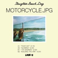 Your Cat - Slaughter Beach, Dog
