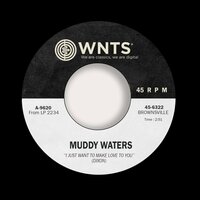 I've Got My Mojo Working - Muddy Waters, Little Walter