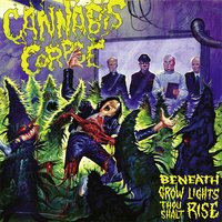Lunatic of Pot's Creation - Cannabis Corpse