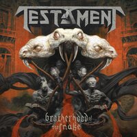 Born in a Rut - Testament