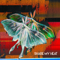 Share My Heat - The Joy Formidable