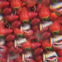 Strawberries 1 + 2 - Oh Sees