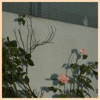 Missing - Soft Kill