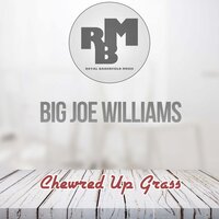 Crawling King Snake - Big Joe Williams