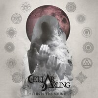 The Hermit - Cellar Darling