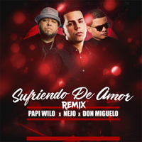 Sufriendo De Amor - Remix - Don Miguelo, Papi Wilo, Nejo