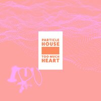 Too Much Heart - Particle House, Sousa Perth