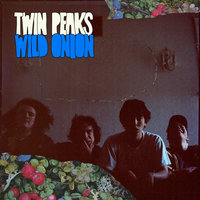 Stranger World - Twin Peaks