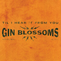 Seeing Stars - Gin Blossoms
