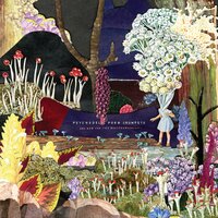 Social Candy - Psychedelic Porn Crumpets