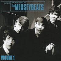 I Stand Accused - The Merseybeats